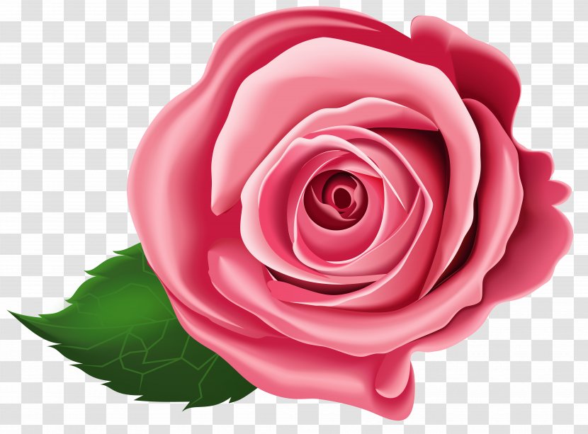 Clip Art - Plant - Rose Transparent Transparent PNG