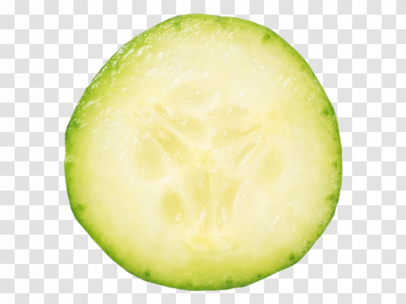 Cucumber Fruit Melon - Food Transparent PNG