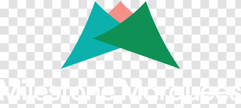 Triangle Logo Transparent PNG
