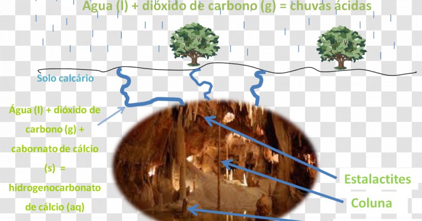 Cave Stalactite Stalagmite Calcium Carbonate Limestone - Silhouette Transparent PNG