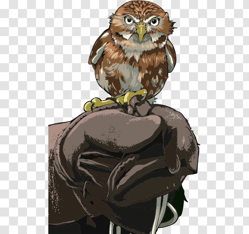 Owl Bird Image Clip Art Vector Graphics - Of Prey Transparent PNG