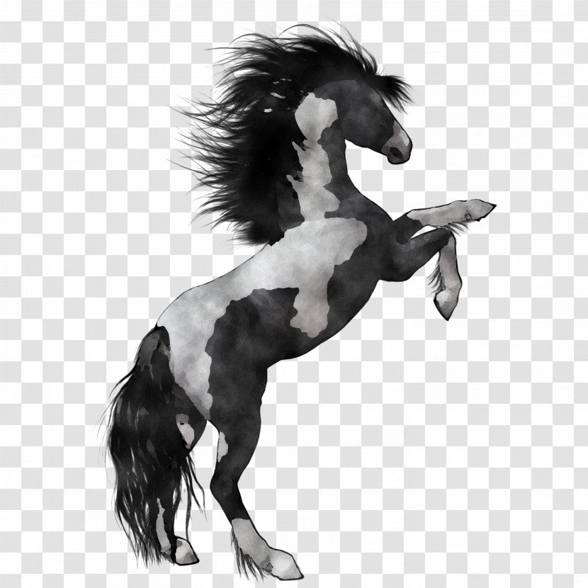 Horse Animal Figure Stallion Mane Mare Transparent PNG