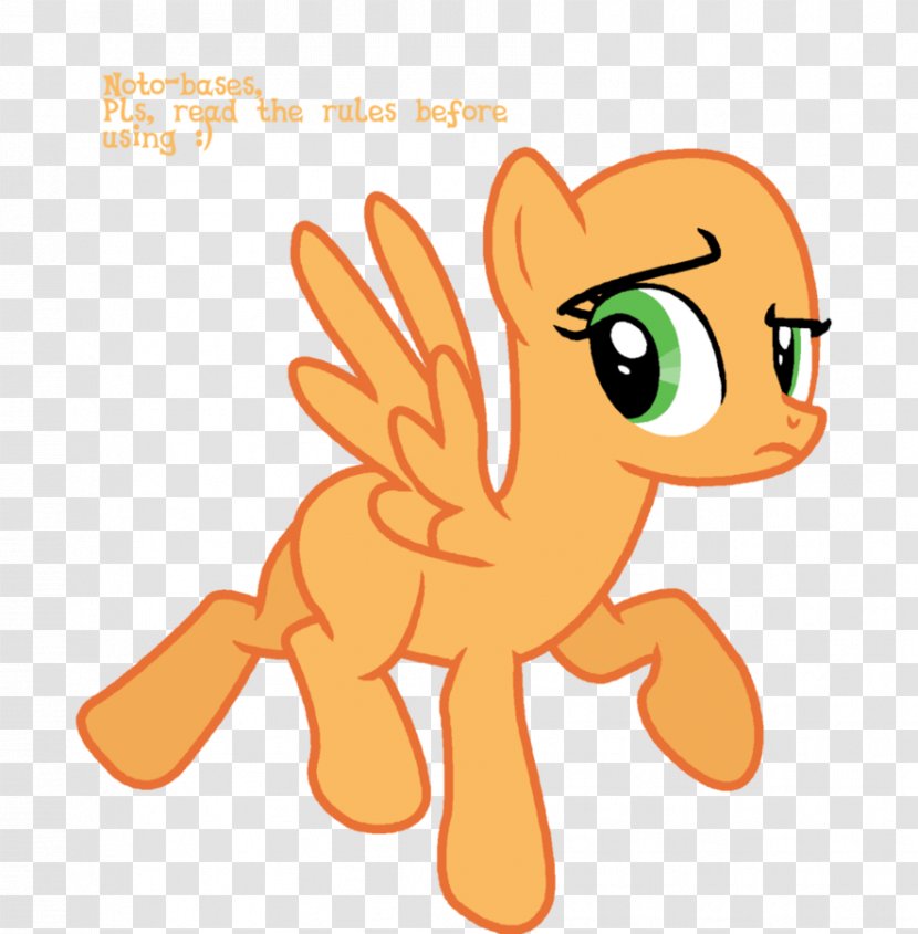 Pony Sonic Rainboom Radix Rainbow Dash Horse - Frame - Nphardness Transparent PNG