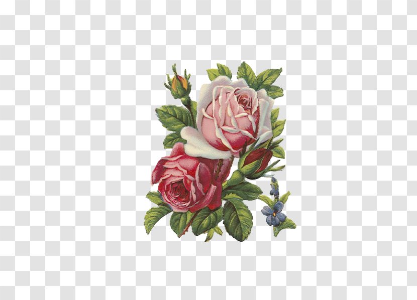 Rose Flower Apron Clip Art - Artificial - Fresh Roses Transparent PNG