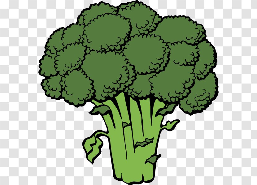 Broccoli Vegetable Clip Art - Flower - Cartoon Celery Transparent PNG