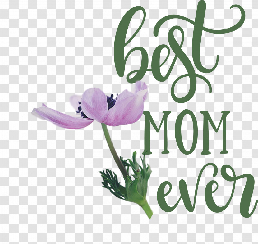 Mothers Day Best Mom Ever Mothers Day Quote Transparent PNG