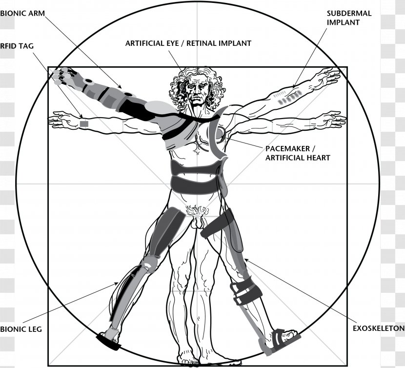 Vitruvian Man Drawing Super You: How Technology Is Revolutionizing What It Means To Be Human Bionics - Tree - Ink Maple Transparent PNG