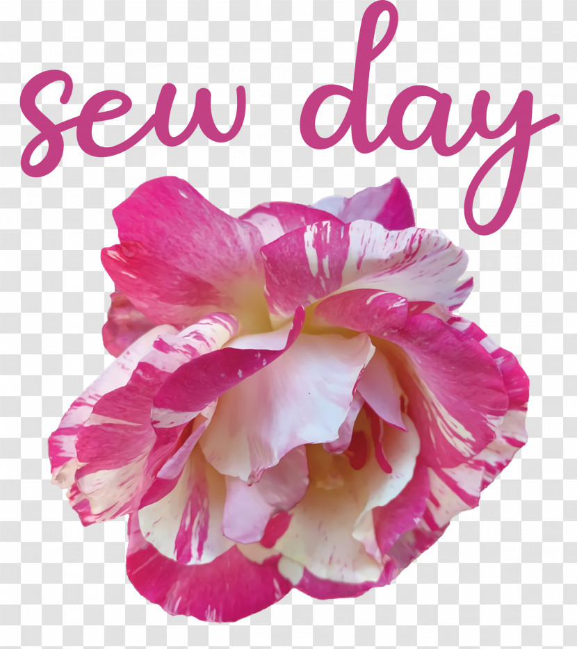 Sew Day Transparent PNG