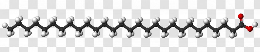 Stearic Acid Elaidic Fatty Carboxylic Molecule - Hydrogenation Transparent PNG
