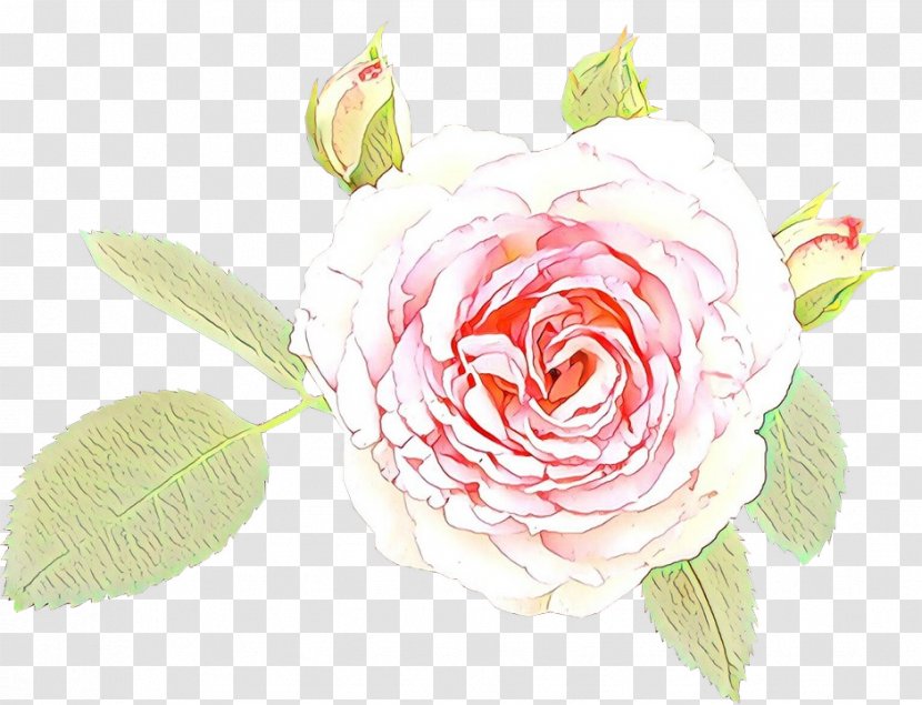 Watercolor Pink Flowers - Camellia - Floribunda Transparent PNG