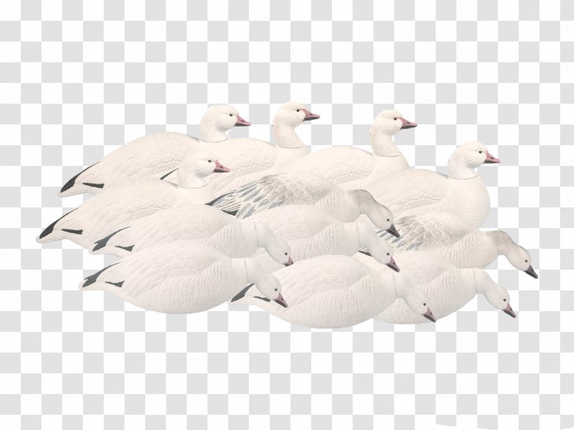 Snow Goose Mallard Swans Decoy - White - Silhouette Canada Transparent PNG