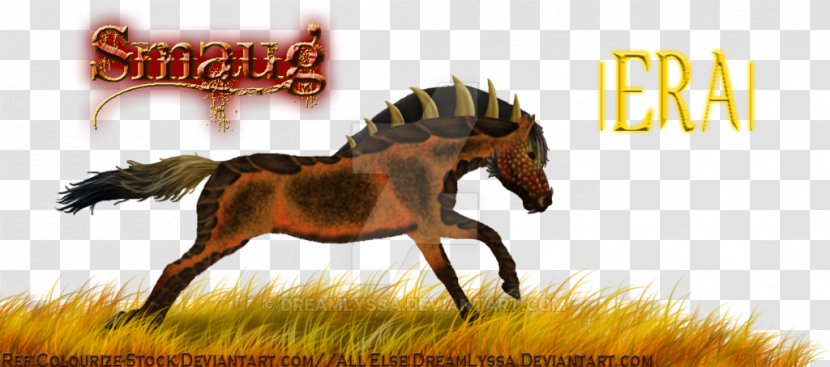 Mustang Stallion Colt Bridle Pack Animal - Senegal National Football Team - Dragon Smaug Transparent PNG
