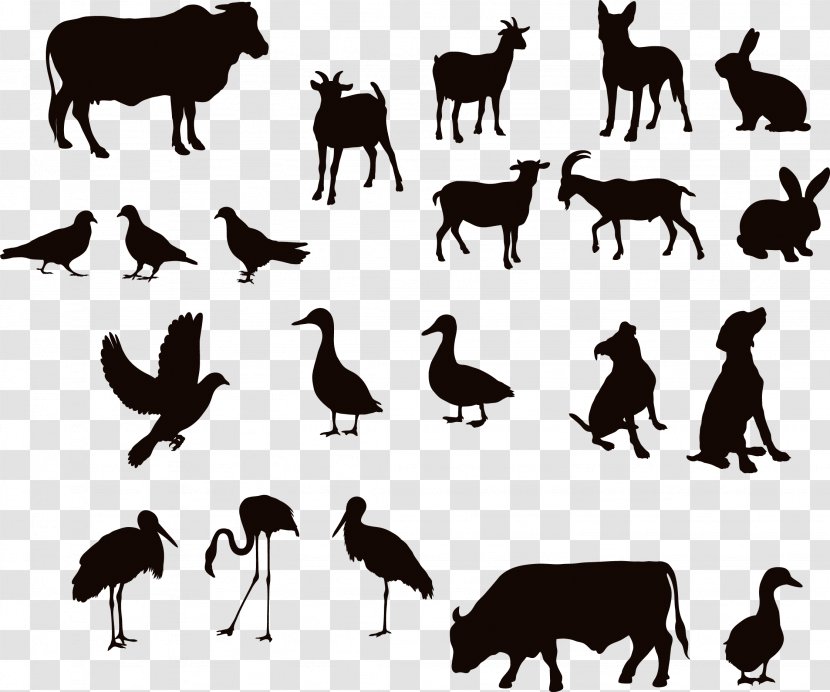 Cattle Water Buffalo Silhouette Duck - Animal Transparent PNG