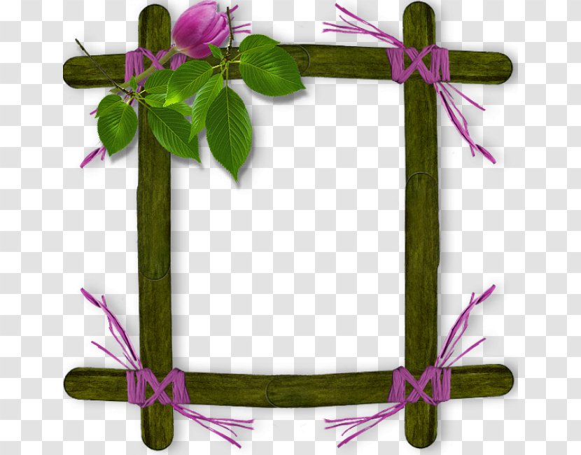 Download Clip Art - Picture Frame - Flora Transparent PNG