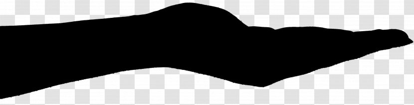 Canidae Cat Dog Mammal Point - Black - Snout Transparent PNG
