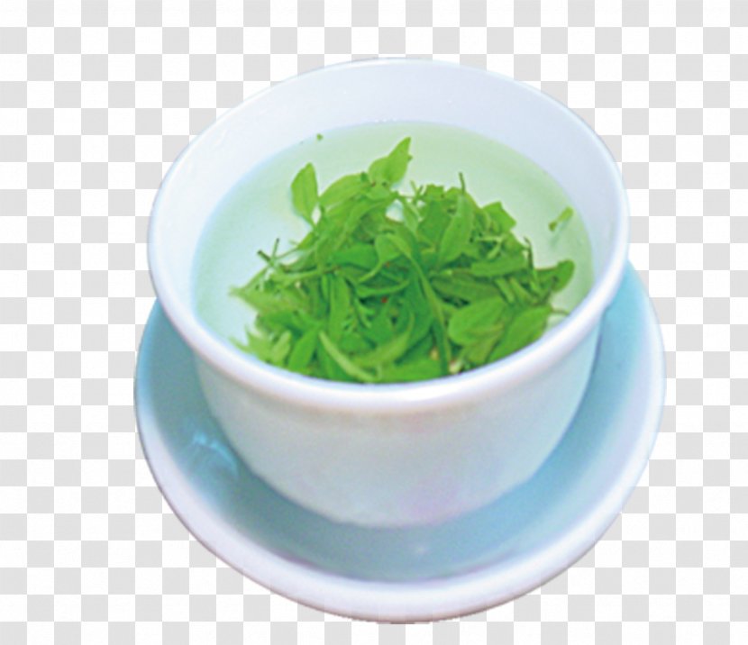 Green Tea Teapot Teacup - Soup - Elements Transparent PNG