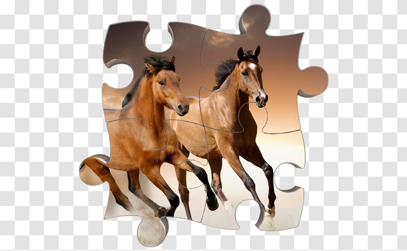 Gypsy Horse Gallop Desktop Wallpaper Stallion Natural Horsemanship - Pack Animal - Jigsaw Best Games Transparent PNG