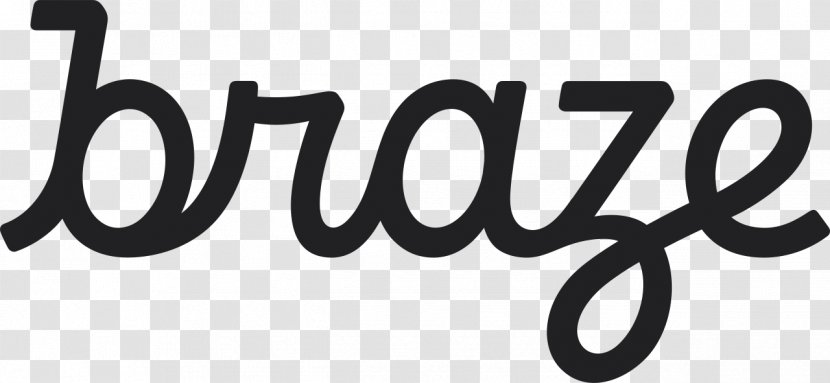 Logo Braze Marketing Brand Customer Relationship Management - Flower - Applying False Eyelashes Transparent PNG