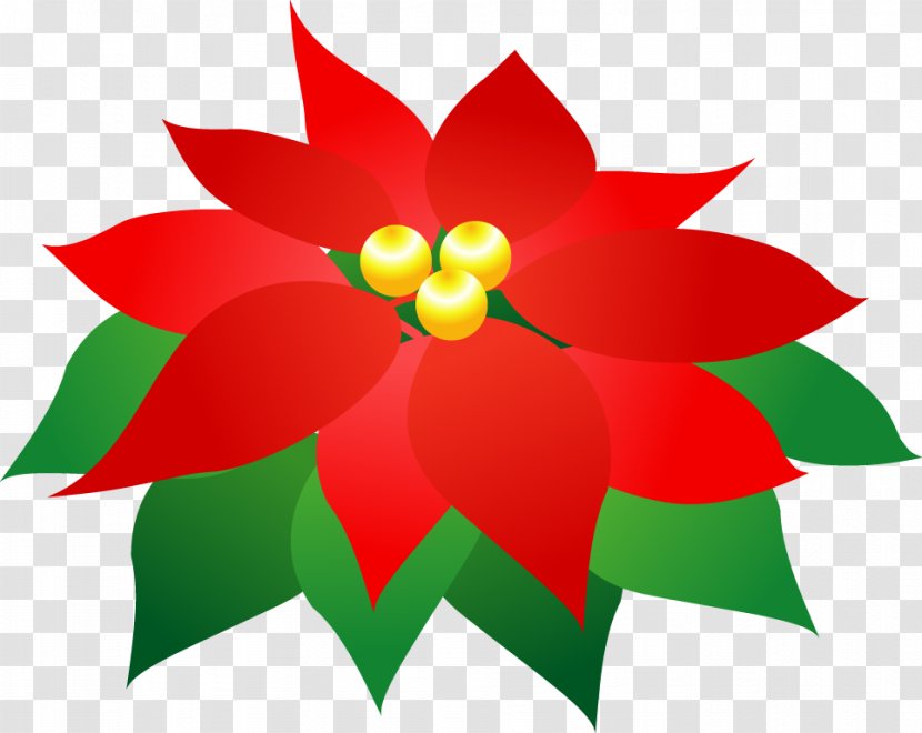 Red Poinsettia Green Clip Art - Leaf - Pictures Of Poinsettas Transparent PNG