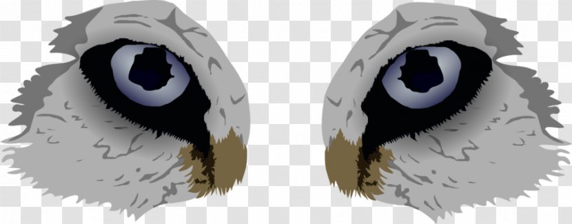 Gray Wolf Eye Clip Art - Drawing Transparent PNG