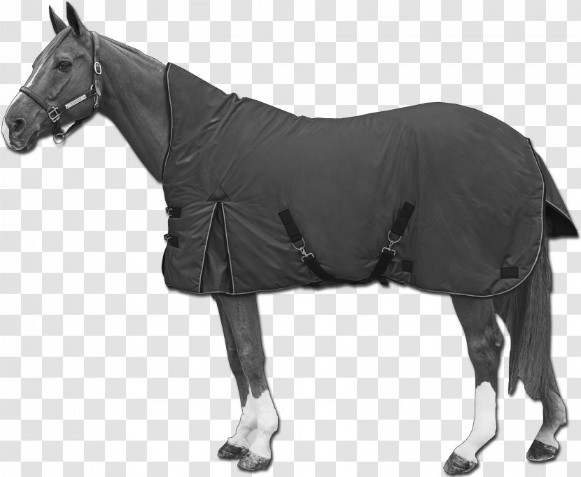 Horse Blanket Stallion Mare - Rein Transparent PNG