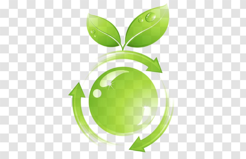 Environmentally Friendly Ecodesign Natural Environment Product Life-cycle Management - Plant Transparent PNG