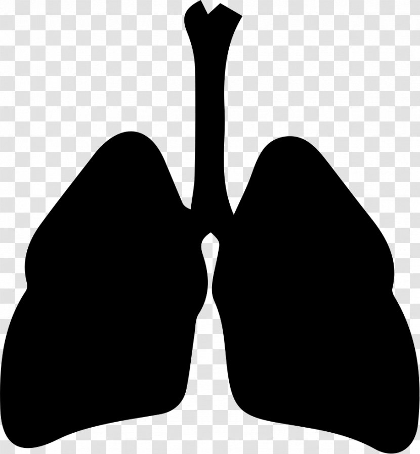 Cdr Clip Art - Black And White - Respiratory Tract Transparent PNG