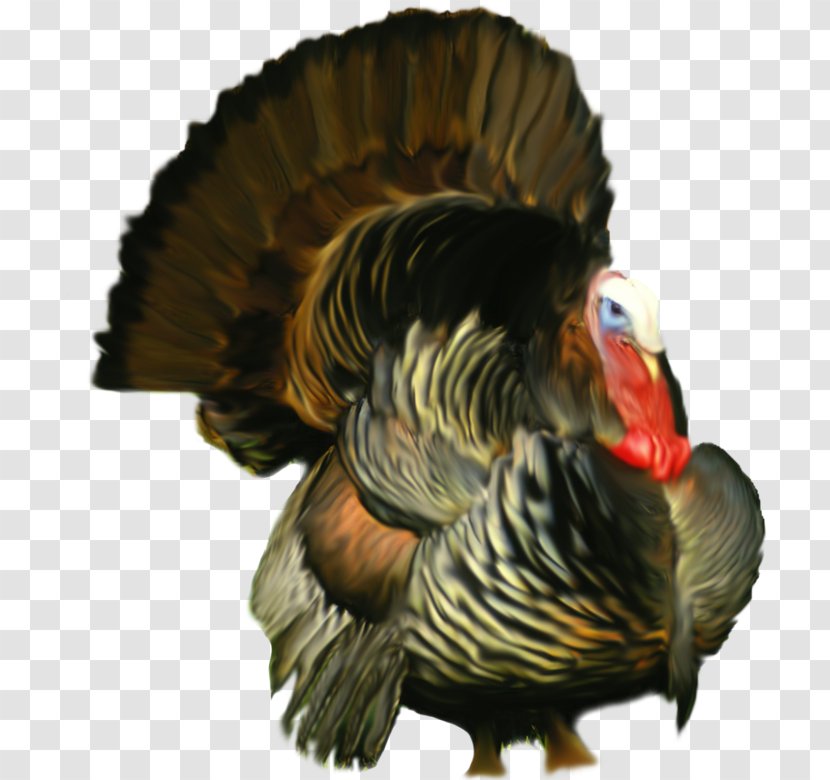 Turkey Food Chicken Clip Art - Domestic Animal Transparent PNG