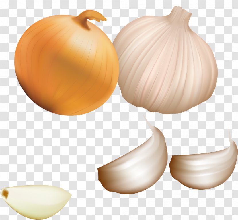Garlic Icon - Winter Squash - Vector Pictures Transparent PNG