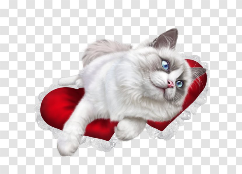 Ragdoll British Shorthair Kitten Clip Art - Snout - A White Cat Transparent PNG