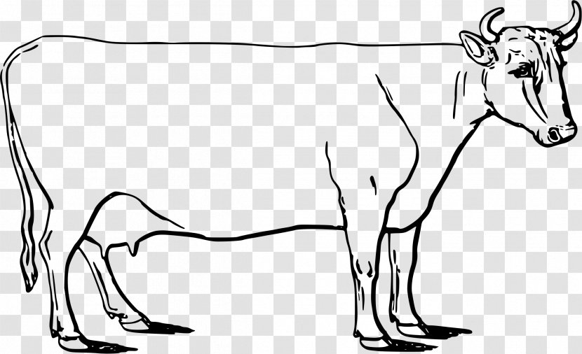 Drawing Ayrshire Cattle Livestock - Cartoon - Cow Transparent PNG