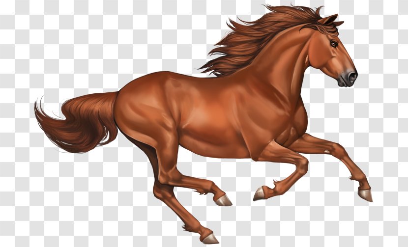 Mustang Stallion Clip Art - Rearing Transparent PNG