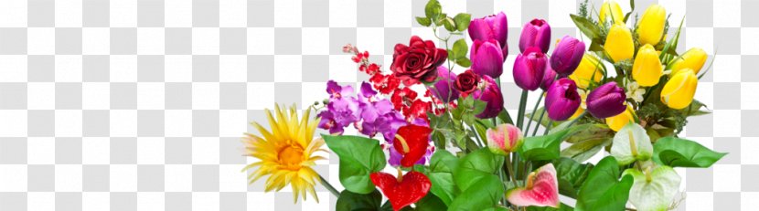 Floral Design Cut Flowers Artificial Flower Floristry - Spring - 12 Kinds Of Transparent PNG