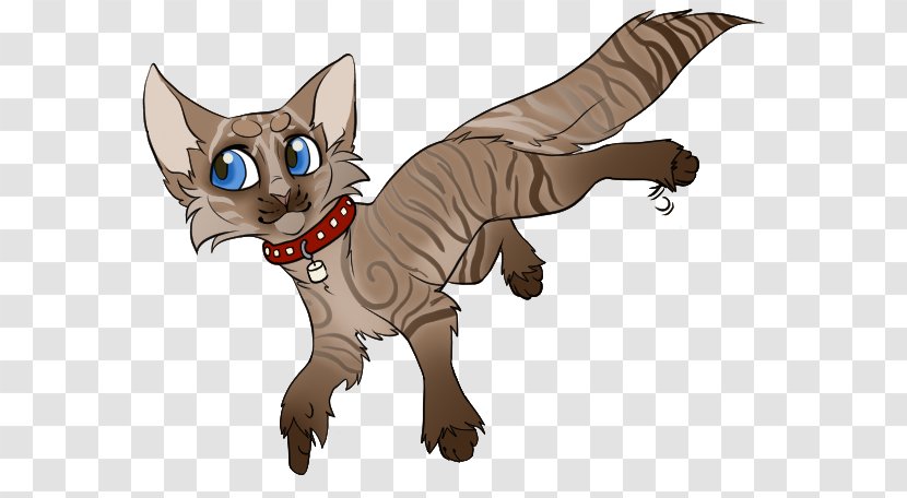 Kitten Whiskers Cat Dog Canidae - Carnivoran - HOT CHOCLATE Transparent PNG