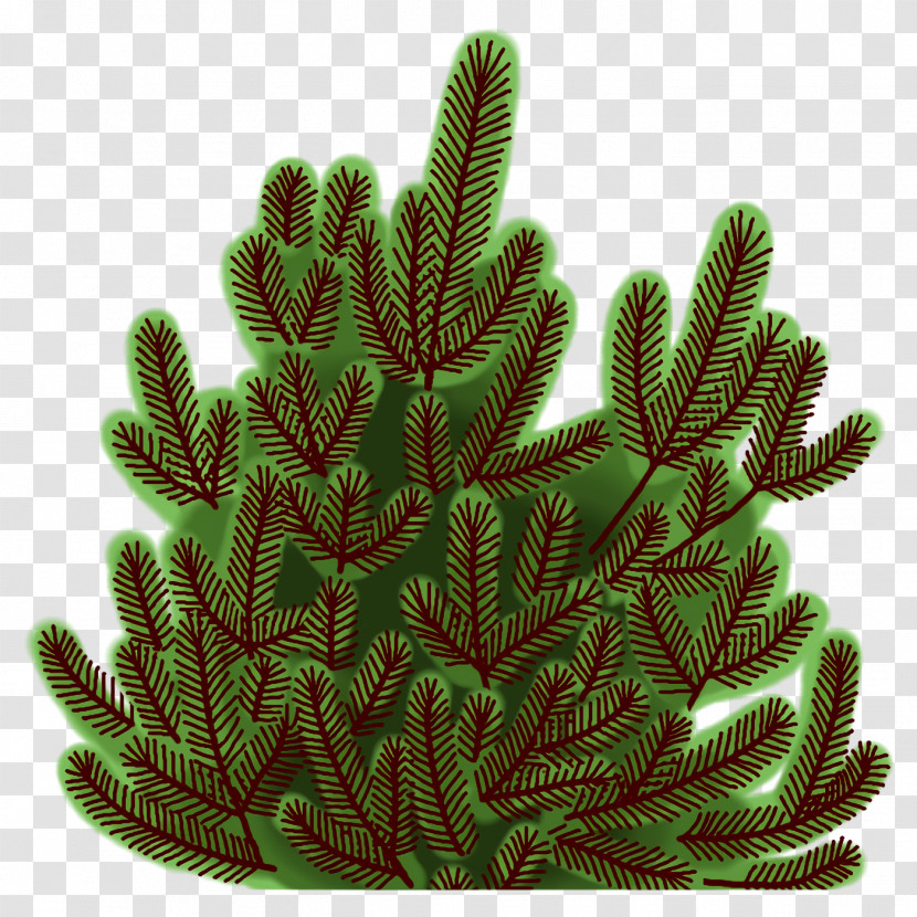 Cactus Transparent PNG