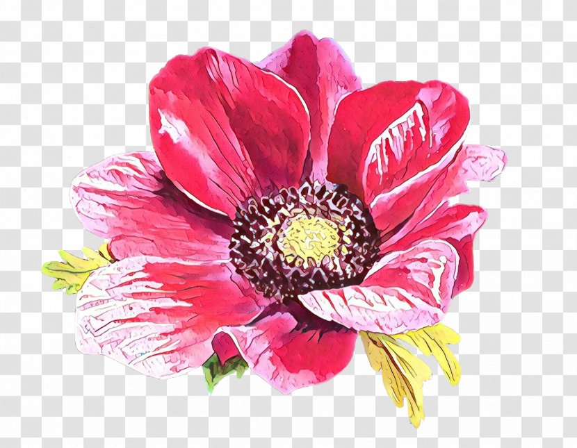 Watercolor Pink Flowers - Chrysanthemum - Wildflower Artificial Flower Transparent PNG