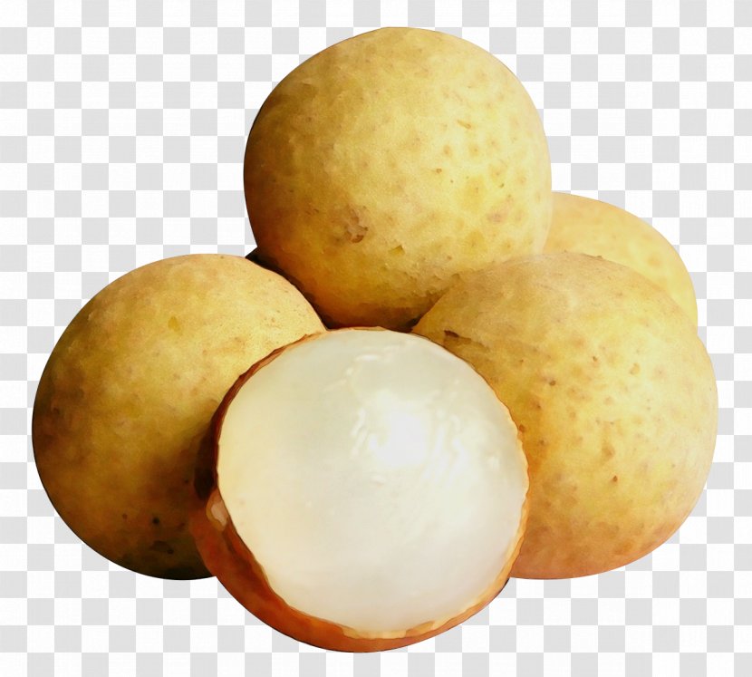 Potato Cartoon - Longan Plant Transparent PNG