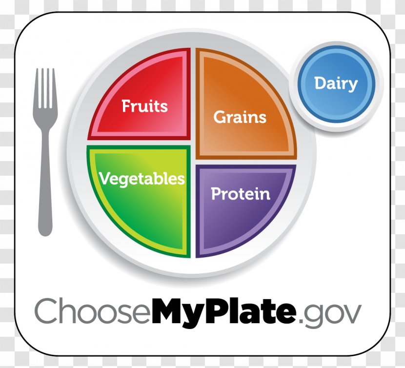 ChooseMyPlate Food Group Healthy Diet MyPyramid - Multimedia - Meal Transparent PNG