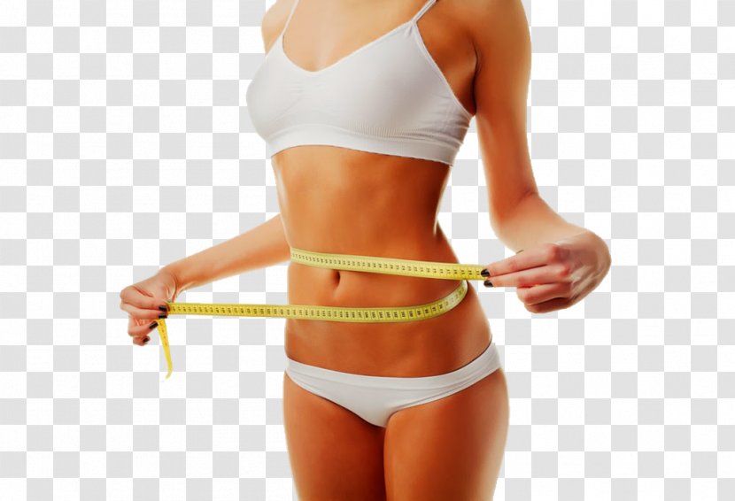 Weight Loss Dieting Eating Fat - Flower - Health Transparent PNG
