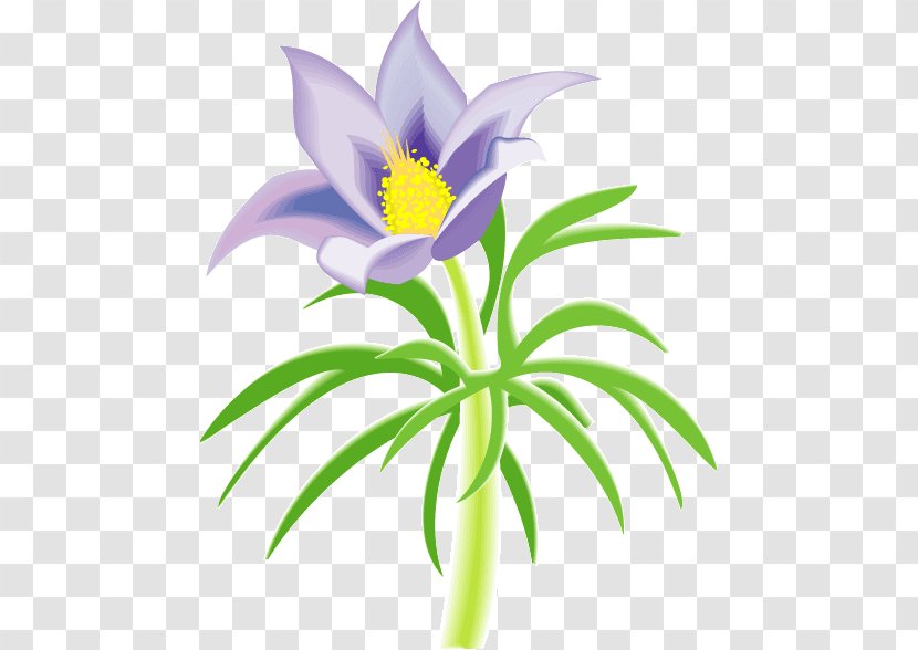 Attention Deficit Hyperactivity Disorder Petal Flower Clip Art - Flowering Plant - Psd Transparent PNG