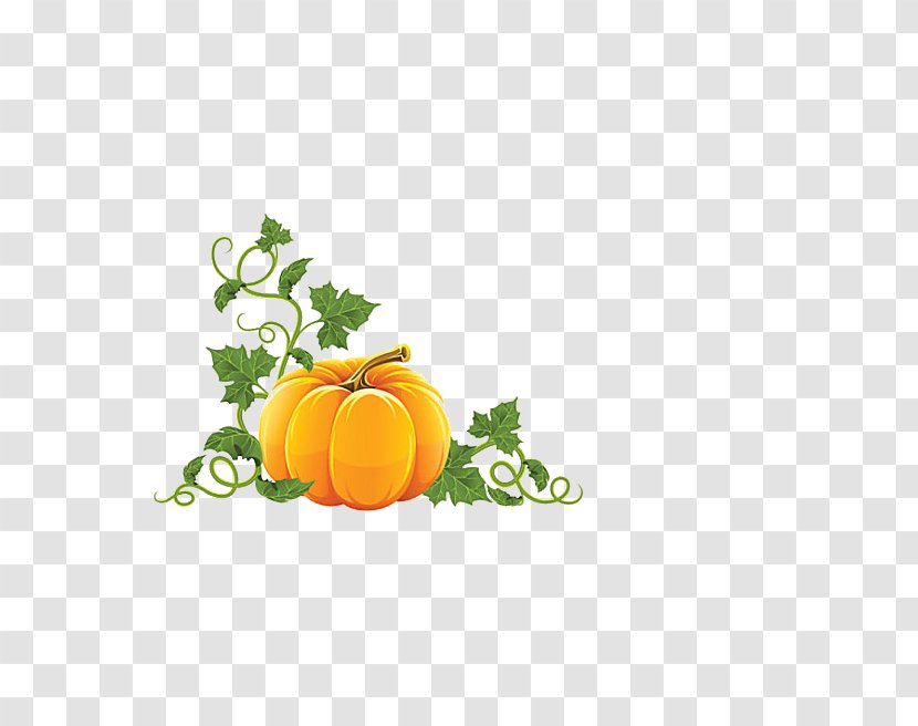 Pumpkin Royalty-free Halloween Clip Art - Yellow Transparent PNG