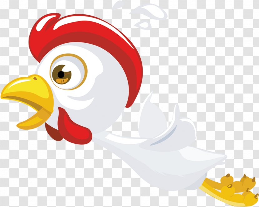 Rooster Chicken Bird Poultry Vertebrate - Fictional Character - Drawing Beak Transparent PNG