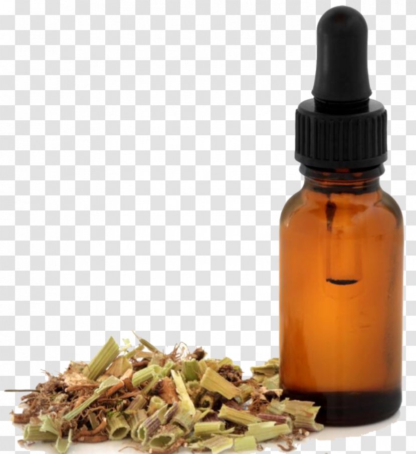 Herb Muscle Relaxant Valerian Tincture Pharmaceutical Drug - Rheum Palmatum Transparent PNG