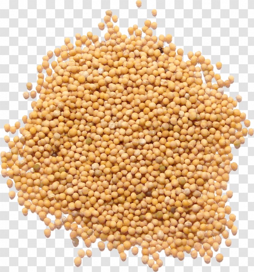 Mustard Seed Plant White Oil - Ingredient - Buddhas First Sermon Transparent PNG