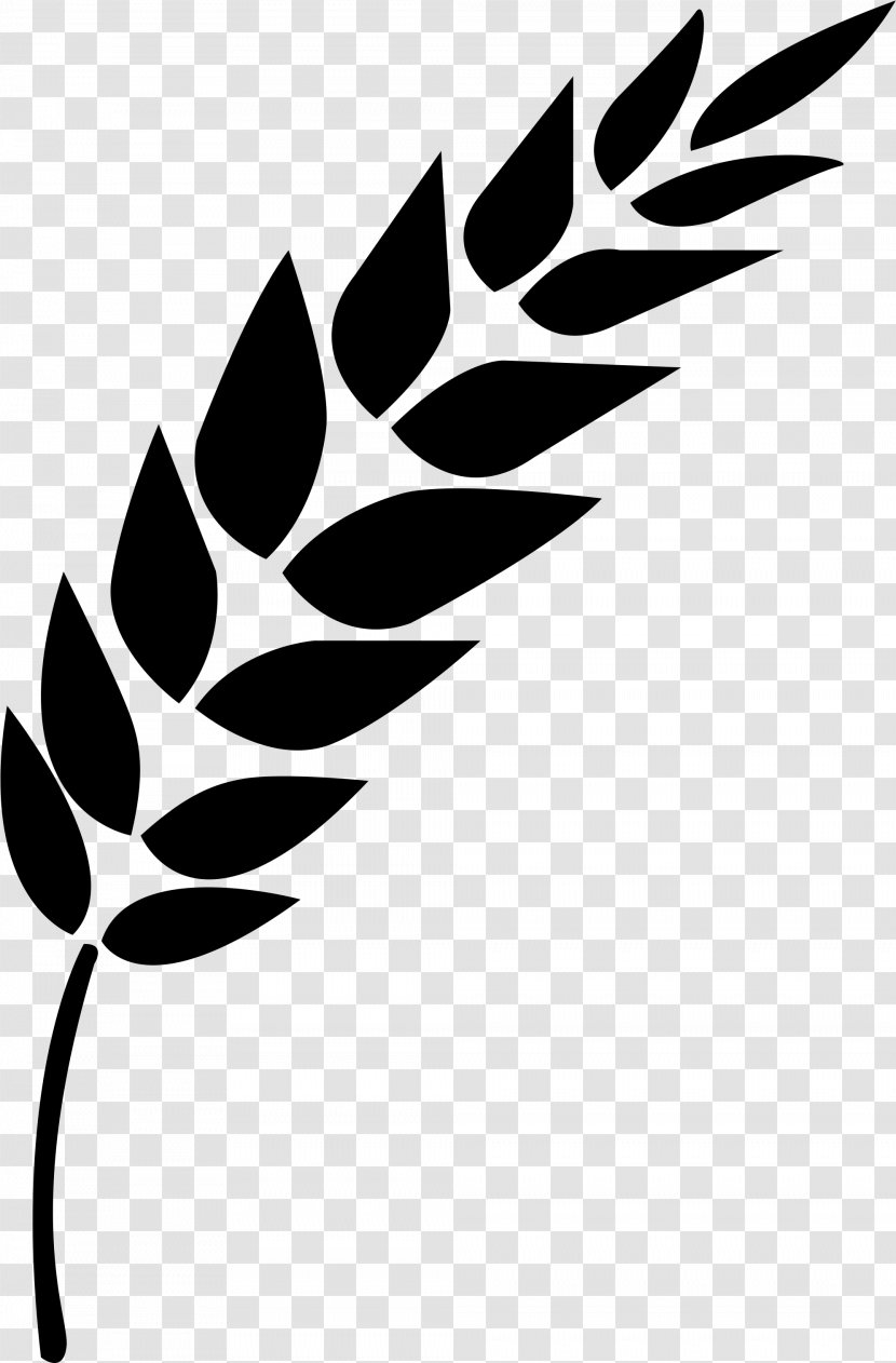 Wheat Cartoon - Leaf - Plant Stem Stencil Transparent PNG