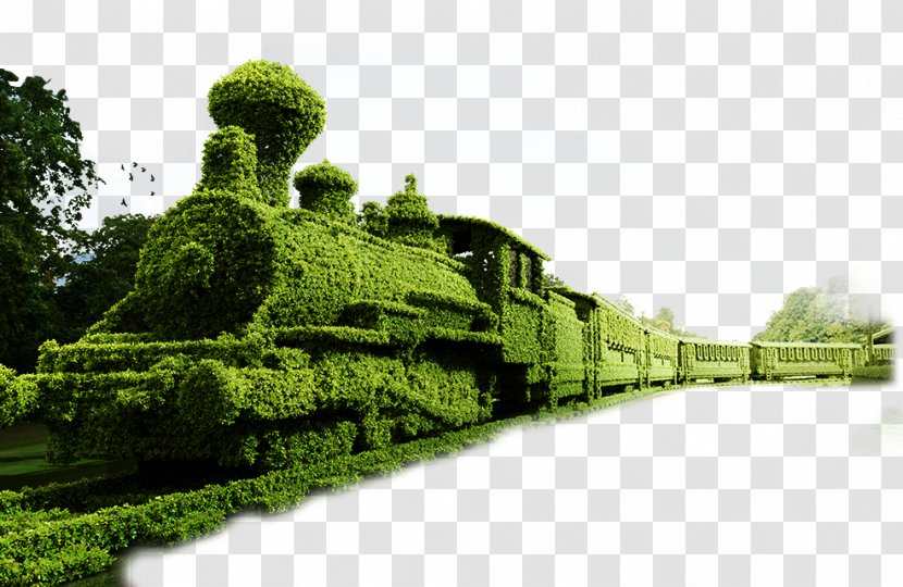 Train Icon - Vegetation - Green Gardening Transparent PNG