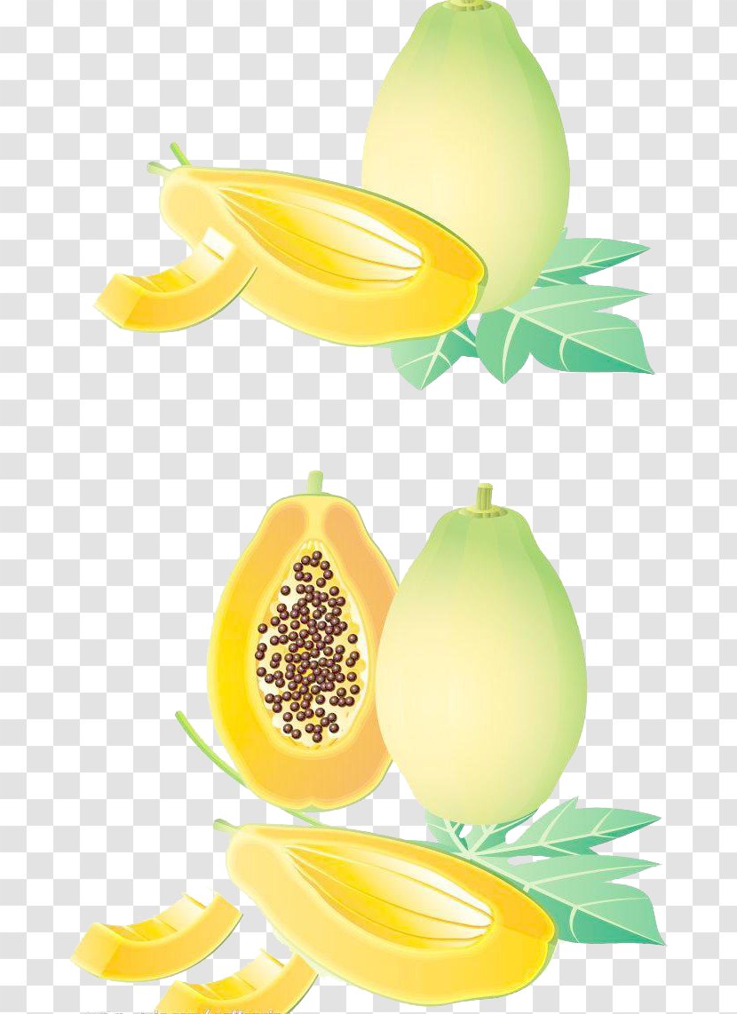 Lemon Papaya Fruit - Melon - Simple Cartoon Transparent PNG