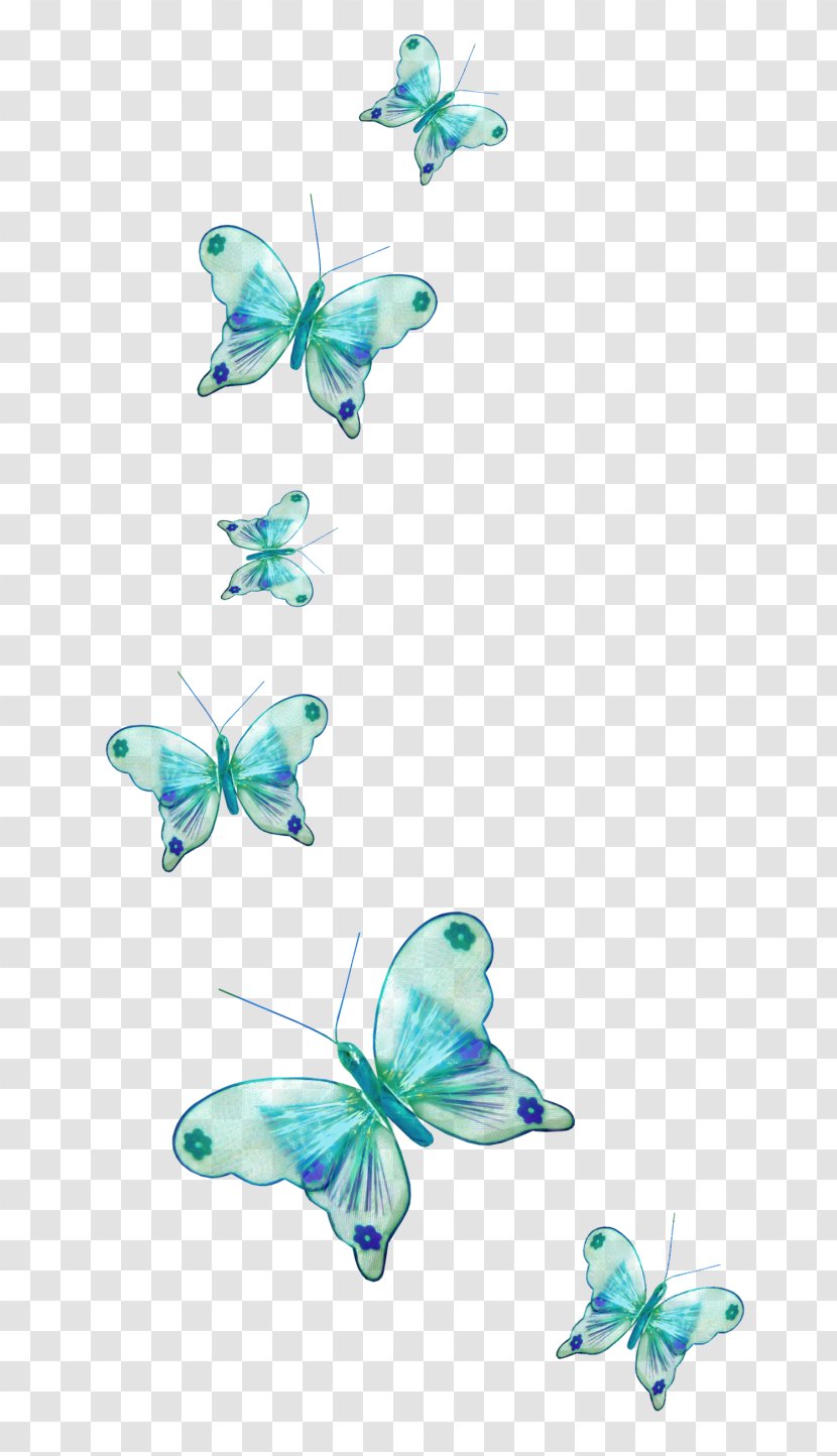 Butterfly Desktop Wallpaper 1080p Display Resolution - Highdefinition Television Transparent PNG