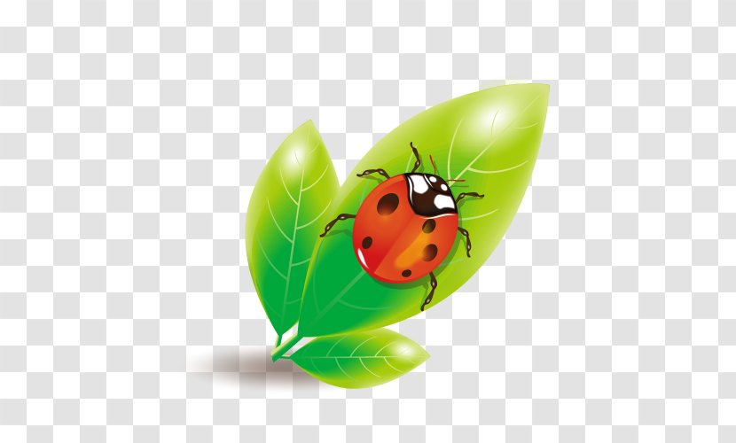 Ladybird Euclidean Vector - Insect - Material Ladybug Green Leaves Transparent PNG