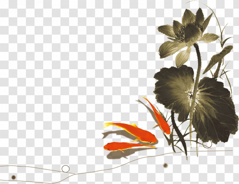 Koi China Download - Shuihui Lotus Transparent PNG